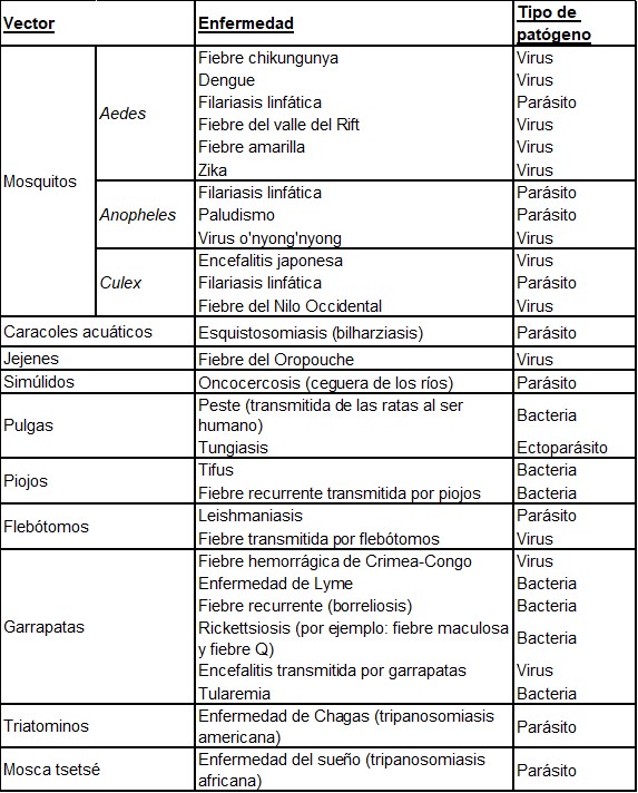 Enfermedades transmitidas por mosquitos y otros vectores. Mosquito- and vector-borne diseases.