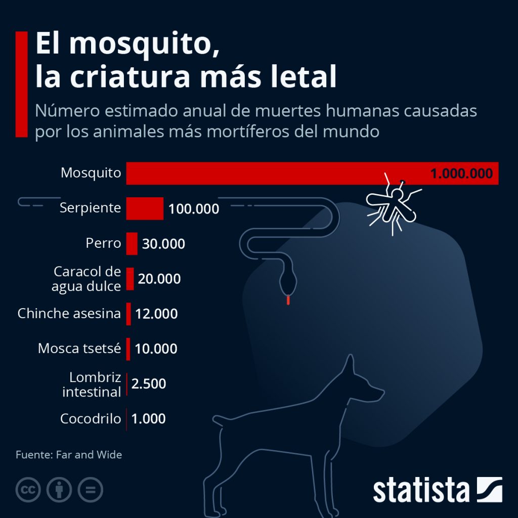 El mosquito es el animal más letal para el ser humano, Mosquitoes most letal for humans