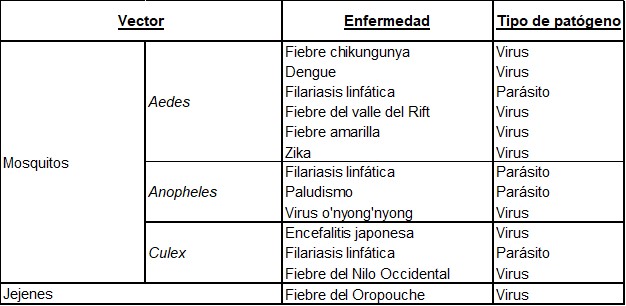 Principales vectores y enfermedades transmitidas por los mosquitos